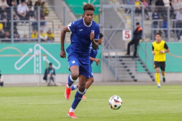 Kelven Frees set for loan move to Kaiserslautern from Hoffenheim