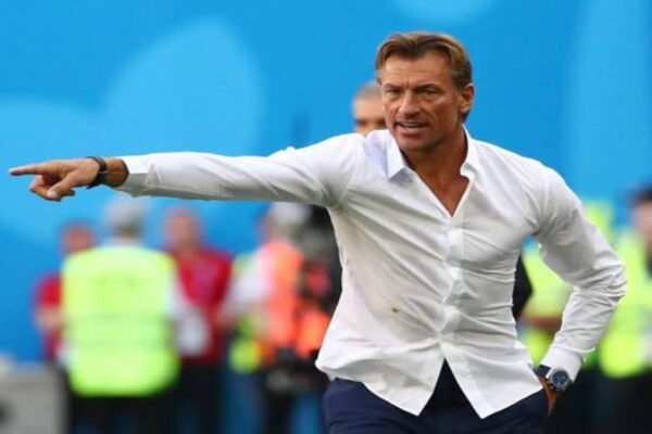 Hervé Renard during an international football match as Algeria search for a new national team coach.