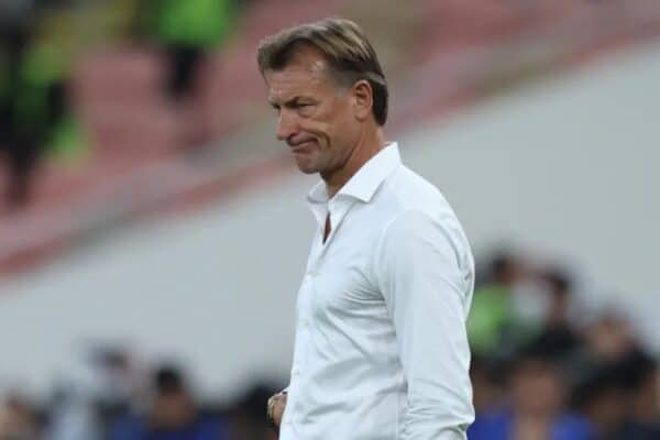 Herve Renard linked with Ivory Coast role