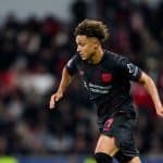 Bayer Leverkusen news